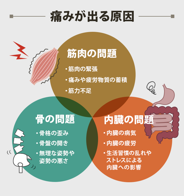 本当の原因
