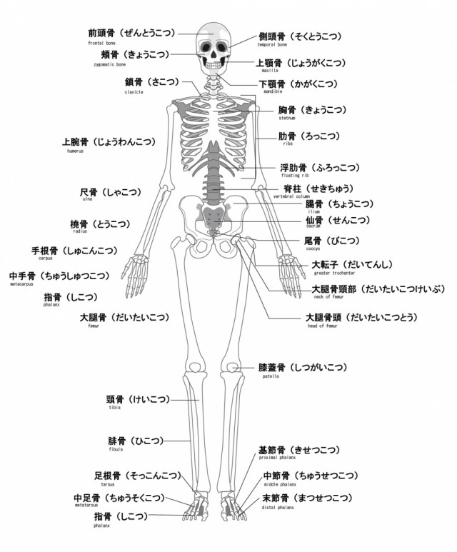 当院の膝痛へのアプローチは?
