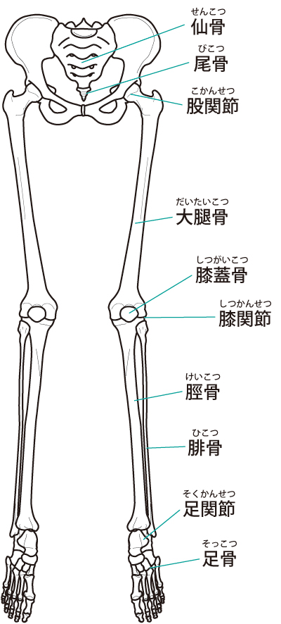 股関節痛は、痛いところだけでなく、全身のバランスを調整することが重要です。