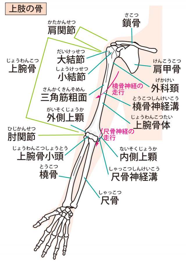 手根管症候群への当院のアプローチは?