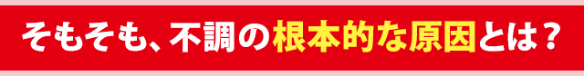 そもそも、不調の根本的な原因とは?